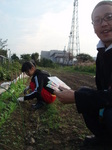 PA160005.JPG