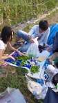 100822_0700~010001.jpg