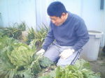 20101226093012.jpg